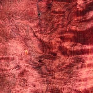 Meet your Posher, Cale